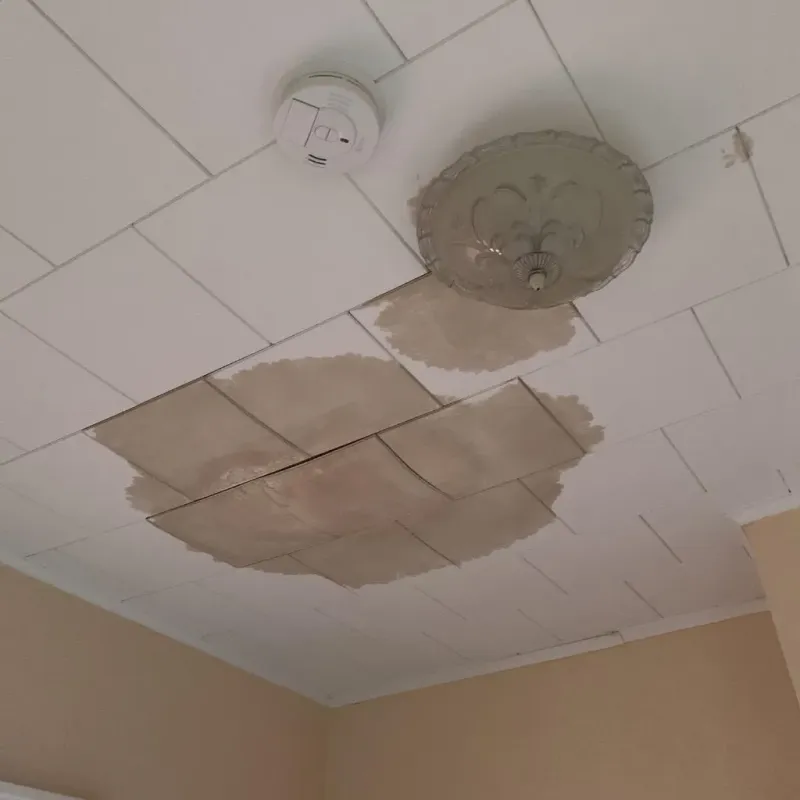 Ceiling Water Damage Repair in Monfort Heights, OH