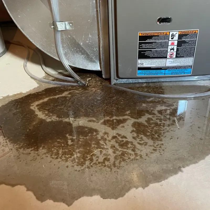 Pipe Burst and Leak Restoration in Monfort Heights, OH