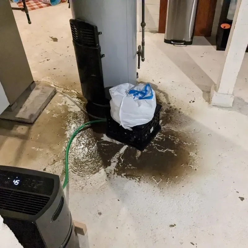 Sewage Backup Cleanup Service in Monfort Heights, OH